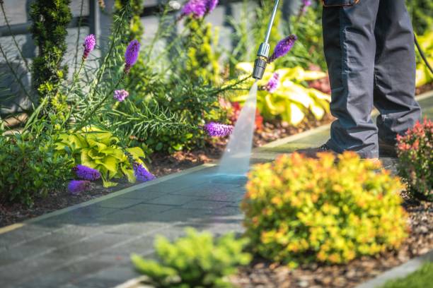 Reliable Lower Grand Lagoon, FL Pressure Washing Solutions