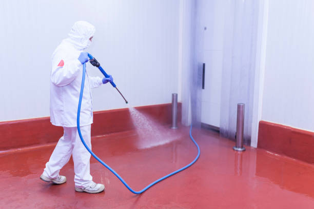 Best Patio and Deck Pressure Washing  in Lower Grand Lagoon, FL